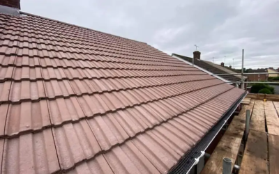 A Step-by-Step Guide to Roof Inspection and Maintenance