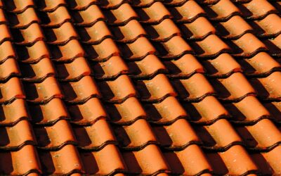 Moss Removal in Surrey: Preserving the Integrity of Your Roof